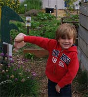 http://beyondwonderful.com/images/barbaras_blog/david_haskell/sammy_watering_can2_180x198.jpg