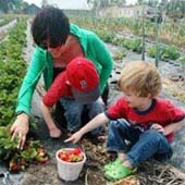 http://beyondwonderful.com/images/barbaras_blog/strawberries/kids_170x170.jpg