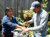 http://beyondwonderful.com/images/barbaras_blog/tacos_lamb/steaming_200x148.jpg