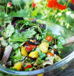 The markets are filled with wonderful produce for quick and easy summer salad recipes.