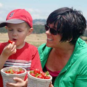 barbara_strawberries_282x315 barbara_strawberries_282x315