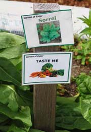 http://beyondwonderful.com/images/interviews/david_haskell/sorrel_180x260.jpg