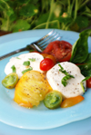 Quick and easy Insalata Caprese Italian appetizer recipe. 