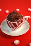 Chocolate-Peppermint Ice Cream recipe