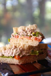 Tuna Fish Sandwich recipe