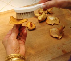How To Clean and Store Mushrooms. Beyond Wonderful Mushroom Expert, Charmoon Richardson.