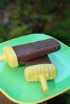 Fudgesicles Two Ways recipe.