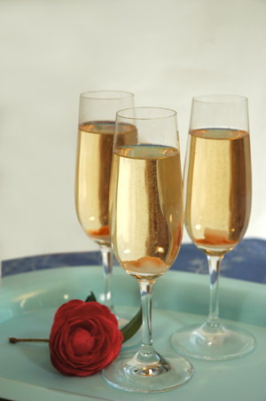 Champagne Cocktail celebration drink recipe