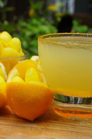 Lemon Drop cocktail drink recipe