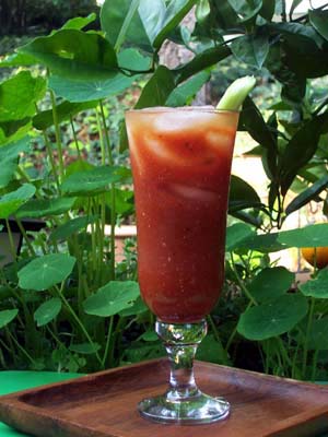 Spicy Bloody Mary brunch drink recipe