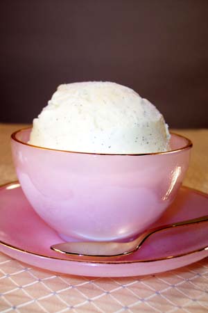 Vanilla Ice Cream. French Vanilla Bean Ice Cream