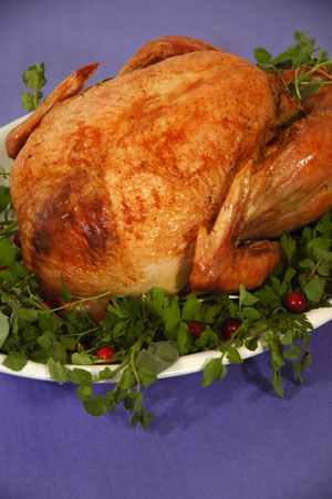 roasted turkey presence
