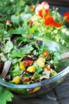 Garden Salad  with Tomatoes </br > and Grilled Vegetables </br > Recipe