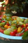 Heirloom Tomato Salad 	</br >with Basil </br > Recipe