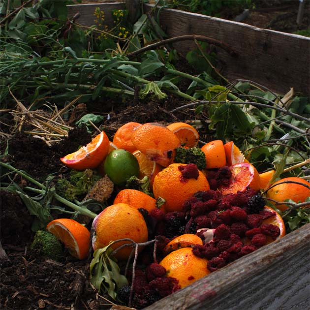 Garden of Eatin' compost box.