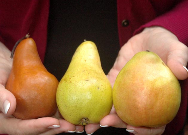 Beyond Wonderful pears for poaching.