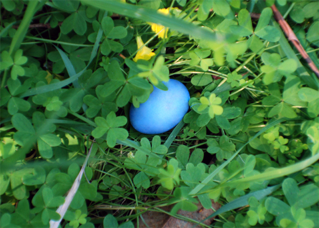 Colored Easter egg hidden in the grass.