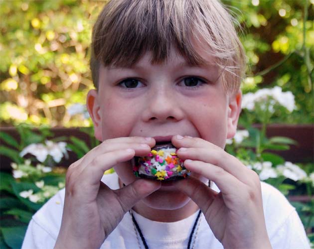 Kid sized ice cream sandwiches