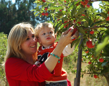 Picking his first apple with mama.