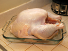 How to Brine Poultry,  turkey and  chicken.